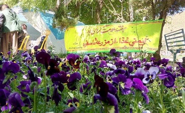 گزارش تصویری نمایشگاه هفته سلامت در پارک سراب روانسر