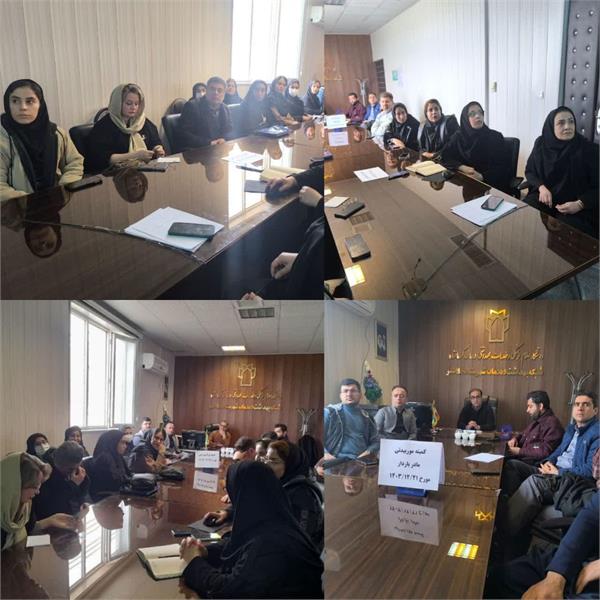 کمیته موربیدیتی مادر باردار و مرگ نوزادی
