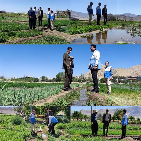 اقدامات پیشگیرانه در جهت شیوع بیماری وبا در مزارع کشت سبزیجات و صیفی جات