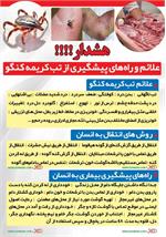 بیماری تب خونریزی دهنده کریمه کنگو