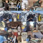 بازدید مشترک بازرسان بهداشت محیط مرکز بهداشت با ادارات شهرستان روانسر از سیاه چادرهای ابتدای شهرستان