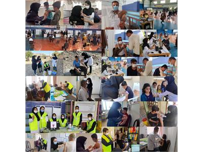 رسانه جدیتتد